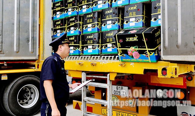 Lạng Sơn: Xuất khẩu hoa quả qua 5 cửa khẩu tăng mạnh
